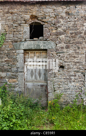 Surtainville verwüstete und verlassenen Hof mit Efeu und Gestrüpp überwuchert Stockfoto