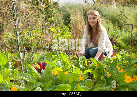 junge weibliche Gärtner arbeiten in städtischen Schrebergarten Stockfoto