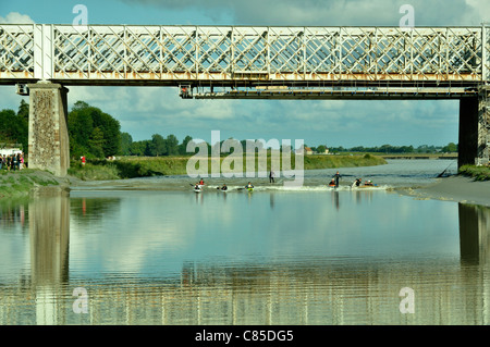 Kanuten auf der Welle der die Gezeiten trugen in Pontaubault, Küsten-Fluss: la Sélune. Stockfoto