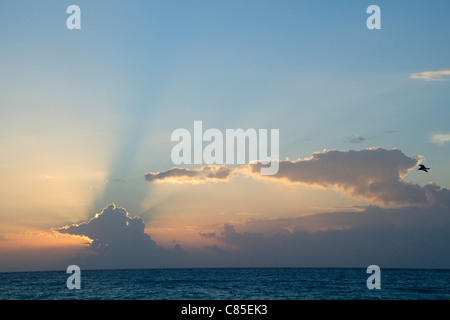 Reef Playacar Resort und Spa Hotel, Playa del Carmen, Quintana Roo, Halbinsel Yucatan, Mexiko Stockfoto