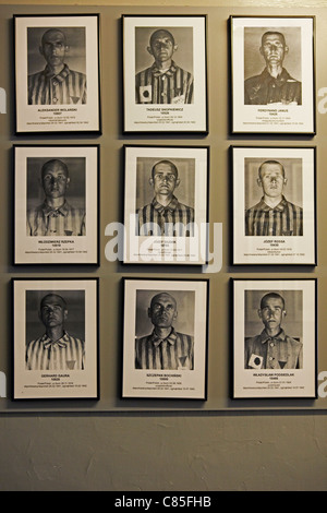 Fotos von Auschwitz-Häftlinge an Wand Stockfoto