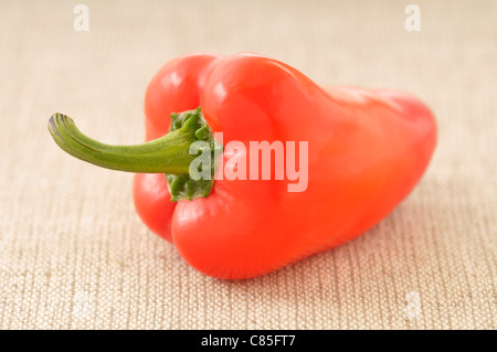 Nahaufnahme von roter Paprika Stockfoto