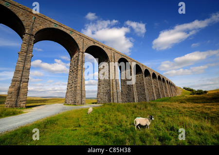 Ribbleshead Eisenbahn-Viadukt im Yorkshire Moor Stockfoto