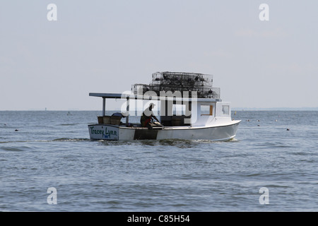 Ein Chesapeake Bay Crabber bei der Arbeit. Stockfoto