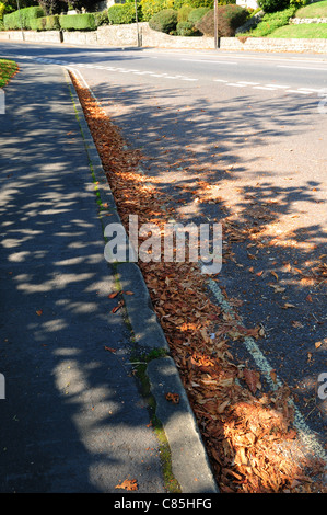 Herbst Leafs über doppelte gelbe Linien (Parkverbot). Stockfoto