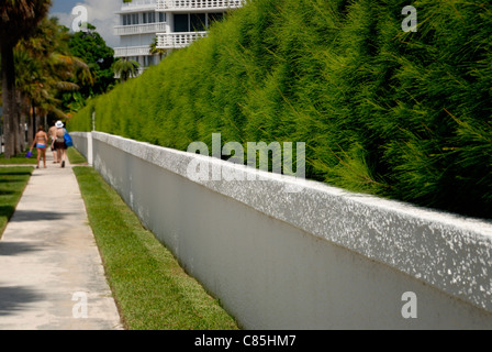 Wand und Sträucher, Palm Beach, Florida, USA Stockfoto