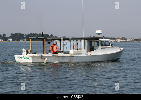 Trotliner WIDYA-DIDYA Stockfoto