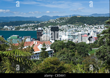 Panoramablick über Wellington Stadt von botanischen Gärten Nordinsel Neuseeland NZ Stockfoto