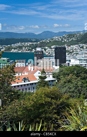 Panoramablick über Wellington Stadt von botanischen Gärten Nordinsel Neuseeland NZ Stockfoto