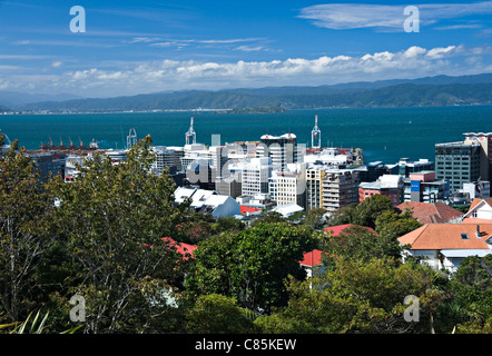 Panoramablick über Wellington Stadt von botanischen Gärten Nordinsel Neuseeland NZ Stockfoto