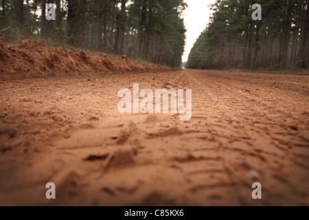 Nahaufnahme der Schotterstraße, Sam Houston National Forest, TX, USA Stockfoto