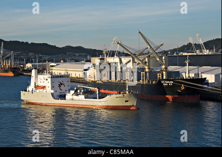 Der Zement Träger Westport Docking und Bulk Carrier TPC Samjin am Wellington Harbour Nordinsel Neuseeland NZ angedockt Stockfoto