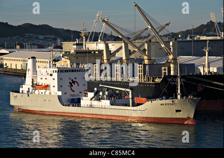 Der Zement Träger Westport Docking und Bulk Carrier TPC Samjin am Wellington Harbour Nordinsel Neuseeland NZ angedockt Stockfoto