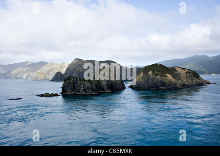 Die Cook Strait in der Nähe von Queen Charlotte Sound Cook Strait Südinsel Neuseeland von einer Passagierfähre Stockfoto