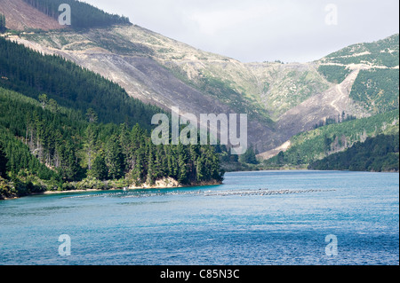 Der Koch-Straße in der Nähe von Queen Charlotte Sound Cook gerader Südinsel Neuseeland von einer Passagierfähre Stockfoto