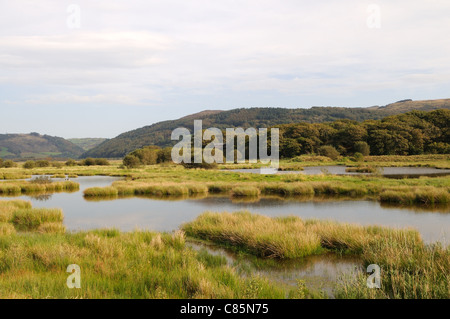 Ynys Hir RSPB Nature Reserve Ofen Dyfi Valley Ceredigion Wales Cymru UK GB Stockfoto