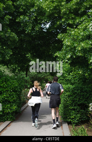 La Promenade Plantee, einen Garten auf Le Viaduc des Arts, Paris Stockfoto