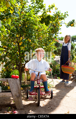 Kleiner Junge Reiten Dreirad durch Obstgarten Stockfoto