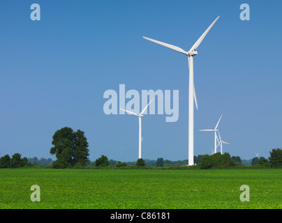 Windenergieanlagen in einem grünen Feld. Süd-Ontario, Kanada. Stockfoto