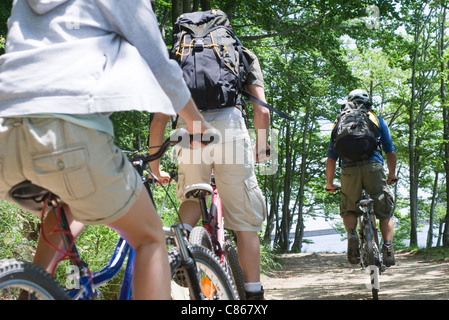 Mountainbiker fahren durch Wälder, Rückansicht Stockfoto