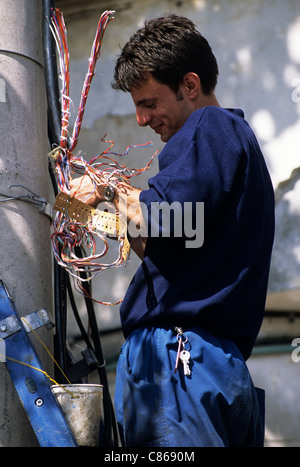 Bukarest, Rumänien. Telekommunikation-Arbeiter arbeiten an Leitungen an der Spitze der Leiter auf einen Telefonmast. Stockfoto