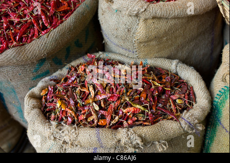 Rote Chilis zum Verkauf an Khari Baoli Gewürze und getrocknete Lebensmittel-Markt, Alt-Delhi, Indien Stockfoto