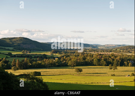 Auf dem Offa's Dyke Path, Herefordshire, Großbritannien. Blick vom Deich, wo er den Herrock Hill überquert und das Hindwell Valley hinunter in Richtung Clee Hill blickt Stockfoto