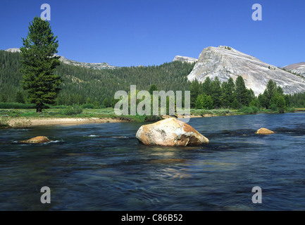 Lembert Dome und Tuolumne River, Yosemite-Nationalpark Stockfoto