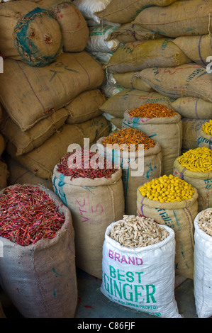 Rote Chilischoten, Kurkuma und Ingwer Wurzel zum Verkauf an Khari Baoli Gewürzen und getrockneten Lebensmitteln zu vermarkten, Alt-Delhi, Indien Stockfoto