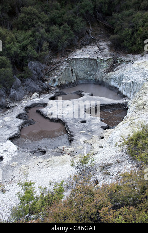 Des Teufels Tinte Töpfe Schlammpfützen bei Wai-O-Tapu Thermal Wonderland in der Nähe von Rotorua Nordinsel Neuseeland Stockfoto