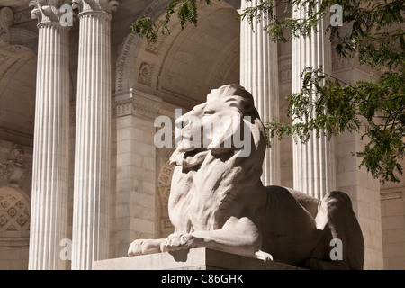 Löwe Statue, New York Public Library, Zweig, NYC Stockfoto