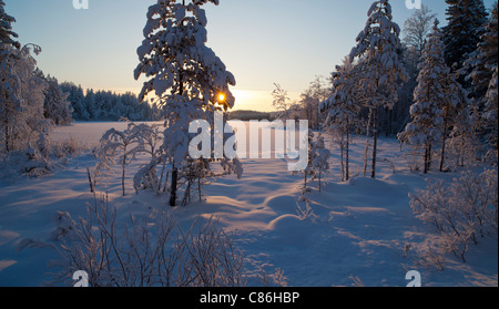 Midwinter Landschaft von einem kleinen Wald-Teich, Finnland Stockfoto