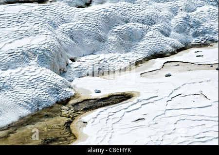 Wasserlos Bridal Veil Falls in der Nähe von Sinter-Terrassen im Wai-O-Tapu mit White Silica Ripples Rotorua North Island Neuseeland NZ Stockfoto