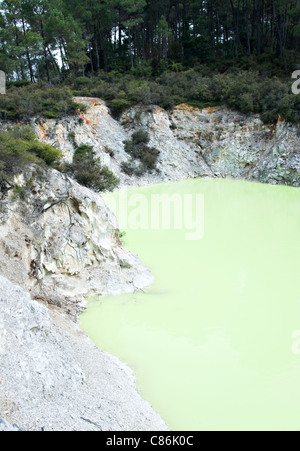 Das grüne Wasser des Teufels Bad Krater im Wai-O-Tapu Thermal Wonderland Rotorua Nordinsel Neuseeland NZ Stockfoto