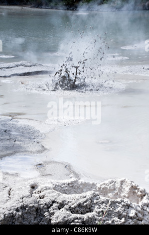 Dämpfen, Schlamm-Pool in der Nähe von The Wai-O-Tapu Thermal Wonderland Rotorua North Island Neuseeland NZ durchbrechenden Stockfoto