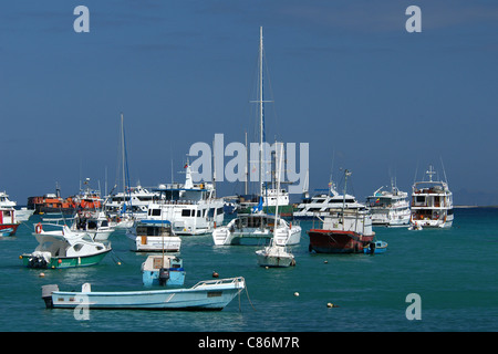 Touristische Schiffe im Hafen von Puerto Ayora auf der Insel Santa Cruz, den Galapagos-Inseln. Stockfoto