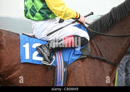 Jockey hält eine Peitsche vor einem Rennen.  Bild von James Boardman. Stockfoto