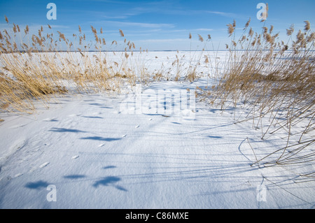 Niegocin See im Winter, Masuren, Polen Stockfoto