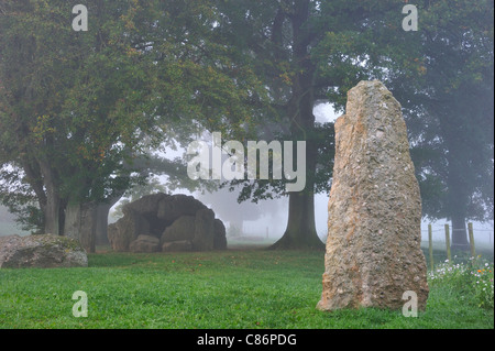 Die megalithischen Grand Dolmen de Wéris und Menhir im Nebel, belgische Ardennen, Luxemburg, Belgien Stockfoto