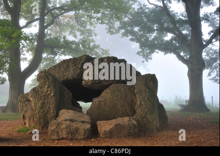 Die megalithischen Grand Dolmen de Wéris und Menhir im Nebel, belgische Ardennen, Luxemburg, Belgien Stockfoto