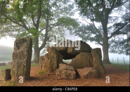 Die megalithischen Grand Dolmen de Wéris und Menhir im Nebel, belgische Ardennen, Luxemburg, Belgien Stockfoto