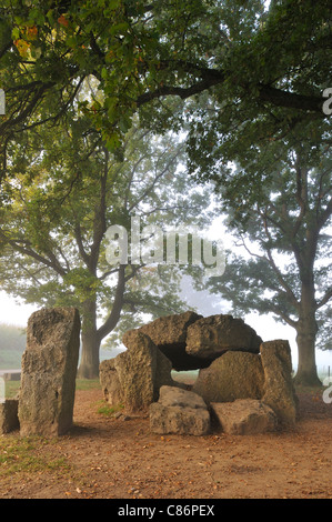 Die megalithischen Grand Dolmen de Wéris und Menhir im Nebel, belgische Ardennen, Luxemburg, Belgien Stockfoto