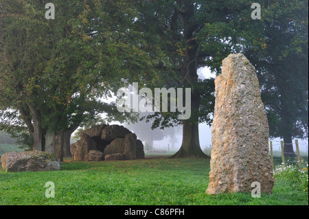 Die megalithischen Grand Dolmen de Wéris und Menhir im Nebel, belgische Ardennen, Luxemburg, Belgien Stockfoto