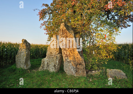 Drei megalithischen Menhire / Menhire von Oppagne in der Nähe von Wéris, belgische Ardennen, Luxemburg, Belgien Stockfoto