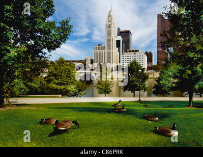 Stadt von Columbus, Ohio Skyline entlang des Scioto River Stockfoto