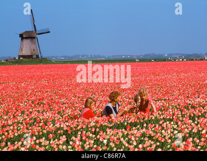 Mutter und Töchter im Bereich der roten Tulpen in der Nähe von Alkmaar mit Windmühle in Holland Stockfoto