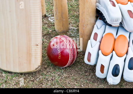 Cricket-Schläger, Ball, Stümpfe & Handschuhe Stockfoto