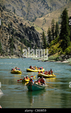 Schlauchboote Paddel, Ausrüstung, Boot, Dory und aufblasbaren Kajaks mit der O.A.R.S.-Gruppe am Main Salmon River in Idaho Stockfoto