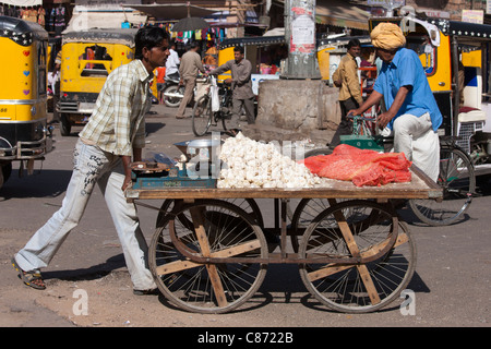 Knoblauch-Verkäufer im Straßenbild auf Sardar Markt am Girdikot, Jodhpur, Rajasthan, Nordindien Stockfoto