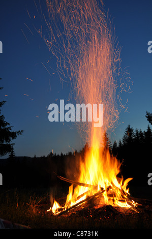 Lagerfeuer im Wald Stockfoto